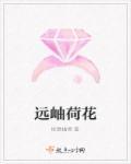 荷花远看是什么样子的