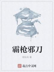 霸枪职业是什么属性